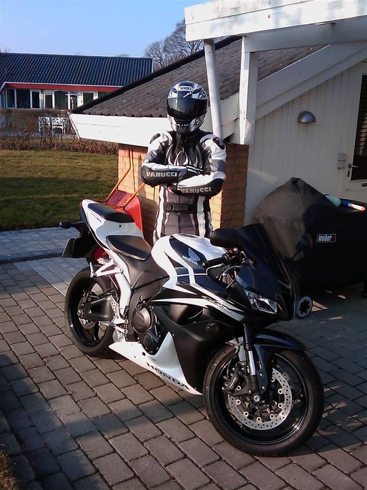 Honda CBR 600rr billede 8