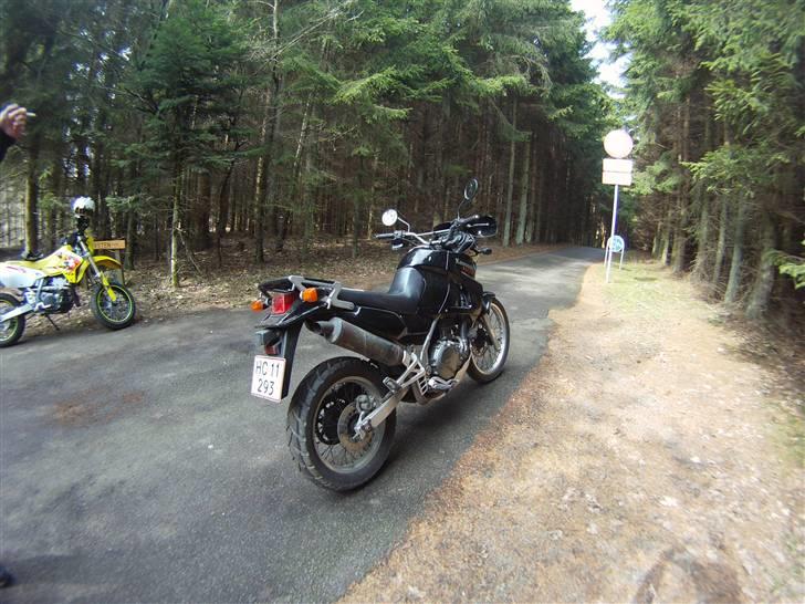 Kawasaki Kle 500 billede 1