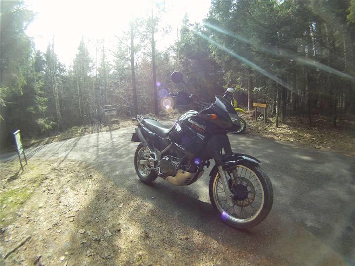 Kawasaki Kle 500 billede 2