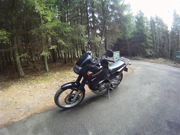 Kawasaki Kle 500 billede 3