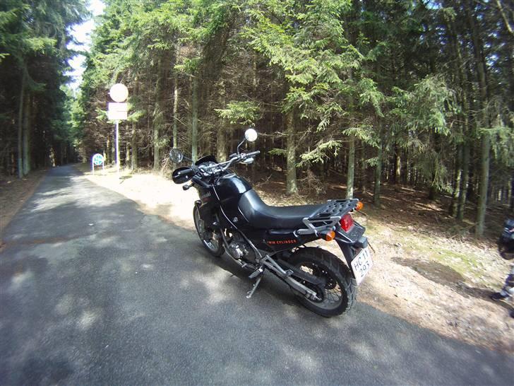 Kawasaki Kle 500 billede 5