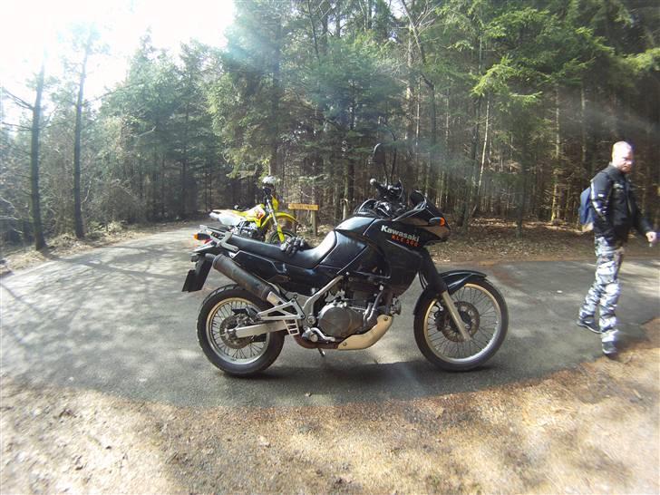 Kawasaki Kle 500 billede 6