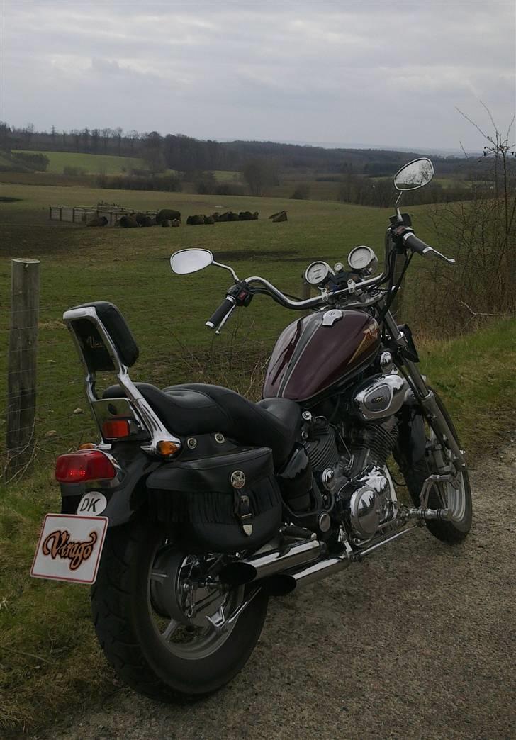 Yamaha Virago XV 1100 - Bison´er i det fjerne !!! billede 13