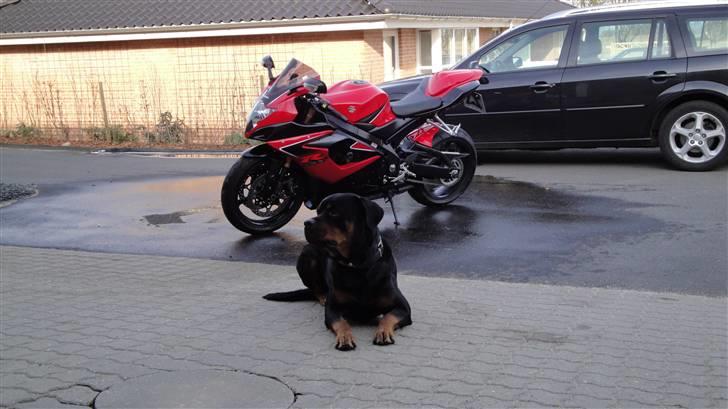 Suzuki GSXR 1000 K6 billede 20