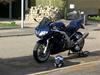 Suzuki SV 1000s