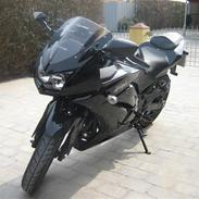 Kawasaki Ninja 250R SOLGT