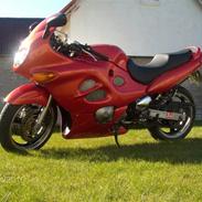 Suzuki gsx600f