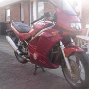 Suzuki GS 500 E