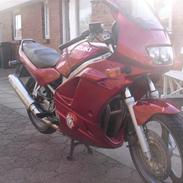 Suzuki GS 500 E