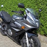 Suzuki GS 500 F