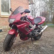 Honda Vtr 1000 Firestorm