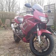 Honda Vtr 1000 Firestorm