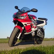 Yamaha YZF R6 *solgt*