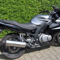 Suzuki GS 500 F
