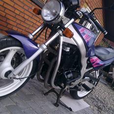 Suzuki GS 500E SOLGT