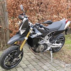 Aprilia dorsoduro
