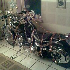 Harley Davidson fxsts