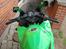 Kawasaki Ninja 250R