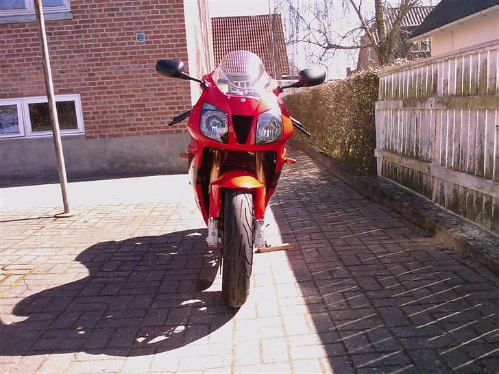 Honda VTR 1000 SP-1 billede 6