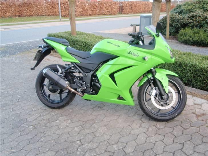 Kawasaki 250R Ninja billede 1