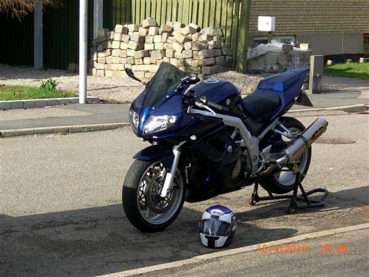Suzuki SV 1000s billede 1