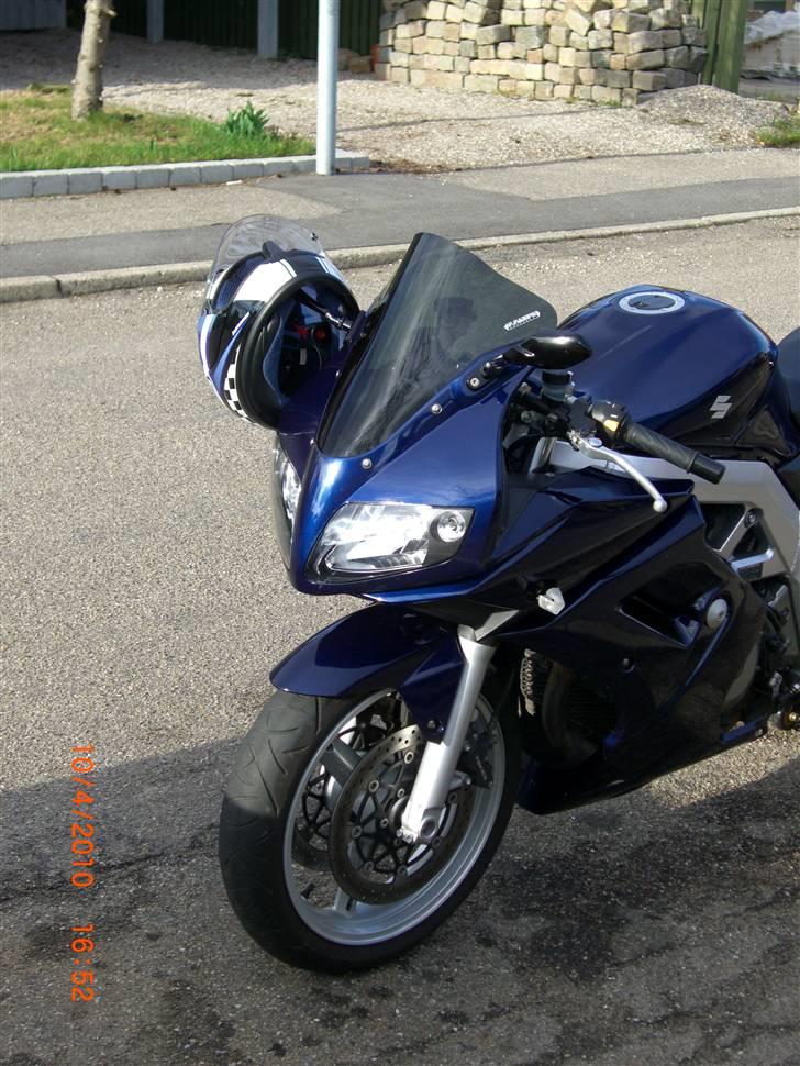 Suzuki SV 1000s billede 2