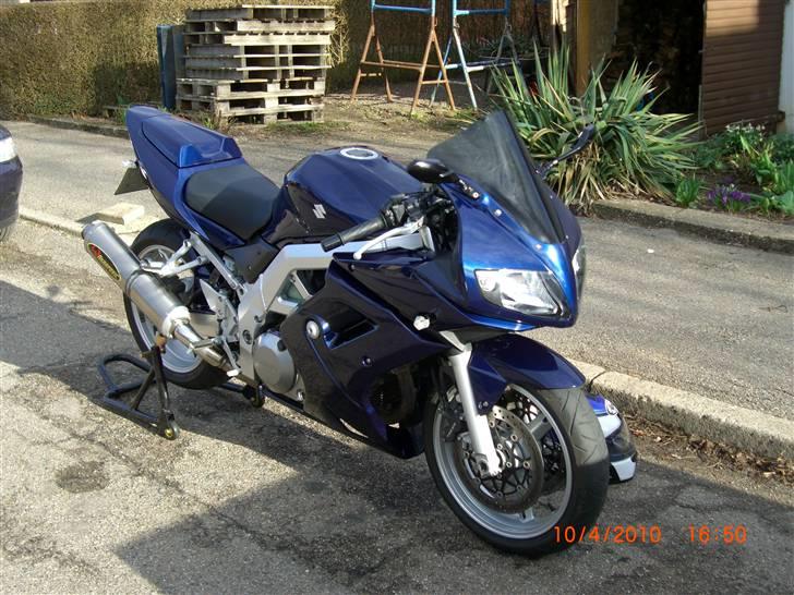 Suzuki SV 1000s billede 3