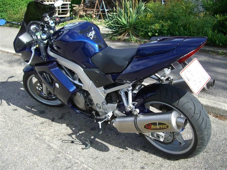Suzuki SV 1000s billede 6