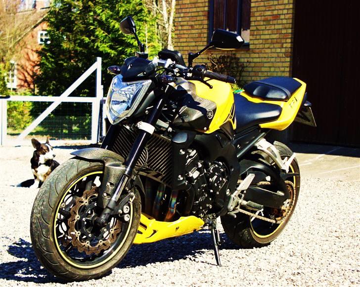 Yamaha FZ1-N billede 5