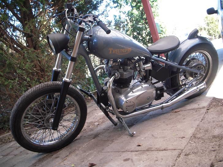 Triumph Bonneville [SOLGT] billede 5