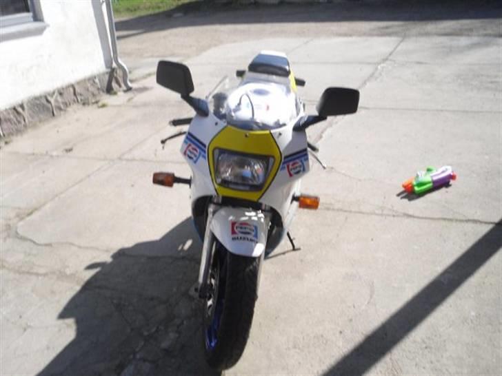 Suzuki RGV 250 billede 6