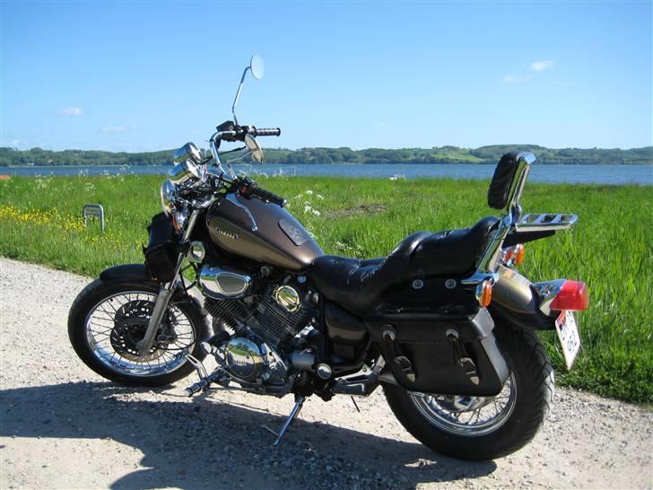 Yamaha Gold Virago ## solgt ##  billede 1