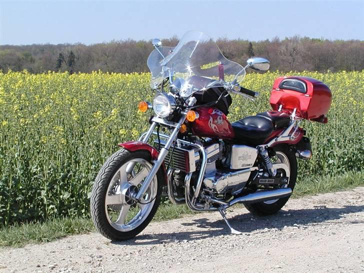 Regal Raptor DD250E-9 - Med et lavt tyngdepunkt og kun 155 kg egenvægt, kører en raptor fint på grus. billede 4