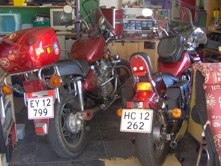 Regal Raptor DD250E-9 - Om vinteren kan de to MC´er hygge sig sammen ved stuetemperatur. billede 6