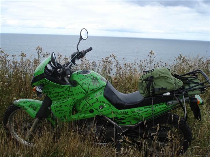 Kawasaki KLE 500 "solgt" billede 1