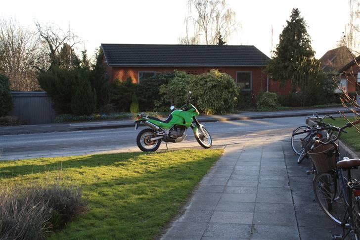 Kawasaki KLE 500 "solgt" billede 5