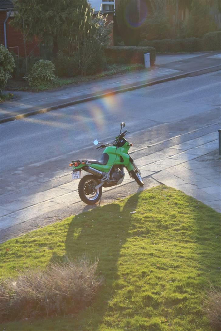 Kawasaki KLE 500 "solgt" billede 6