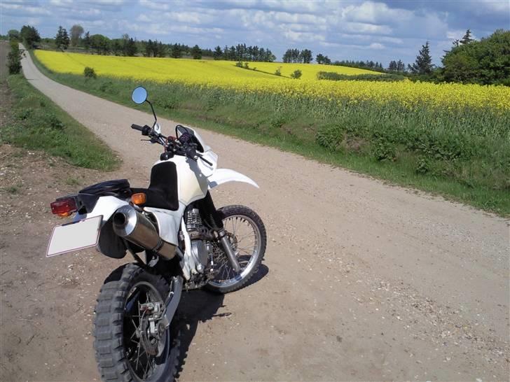 Honda XR 600 - Billedet siger vist det hele :) billede 9