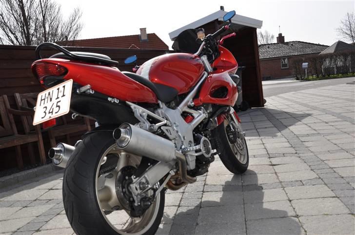 Suzuki TL 1000 S billede 5