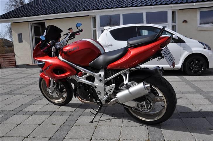 Suzuki TL 1000 S billede 11