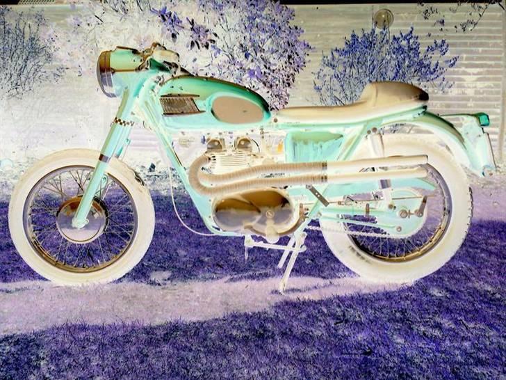 Triumph Speed Twin  billede 6