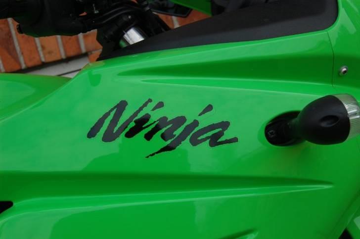 Kawasaki Ninja 250R billede 6