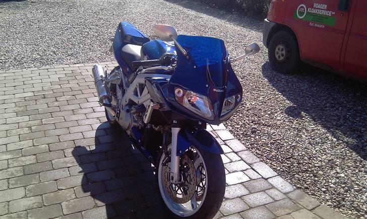 Suzuki SV1000S billede 4