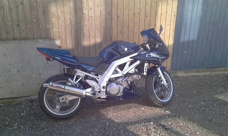 Suzuki SV1000S billede 6