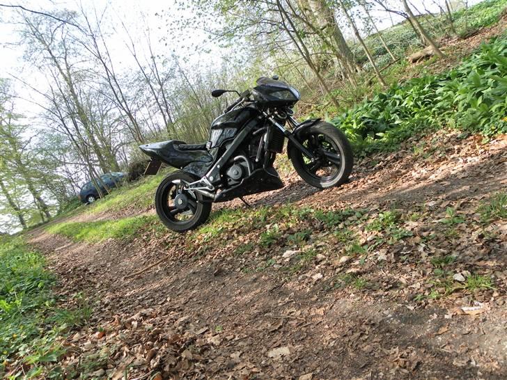 Honda NTV 650 Revere billede 2