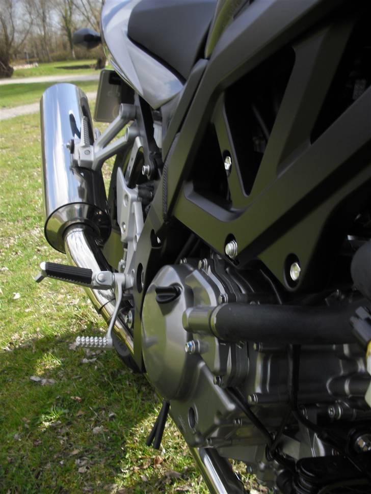 Suzuki SV 650s "Sven" billede 4