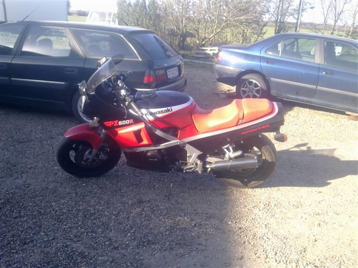 Kawasaki GPZ 600R - Da jeg hentede hende billede 1