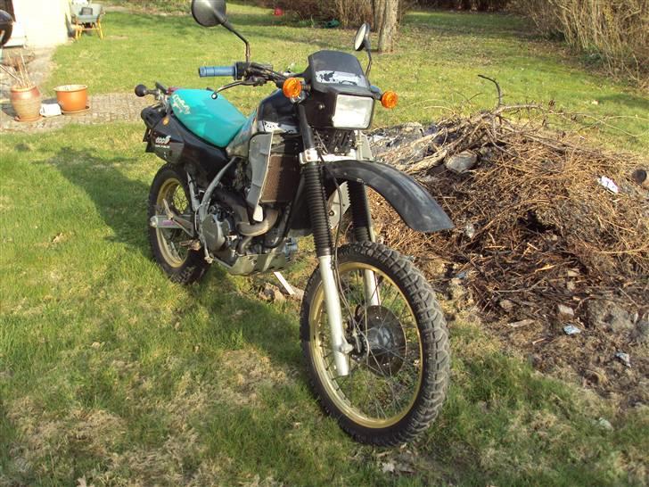 Kawasaki KLR 600 billede 3