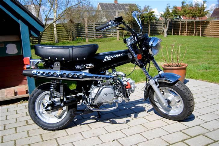 Skyteam Dax - 125cc Motorcykel   billede 13