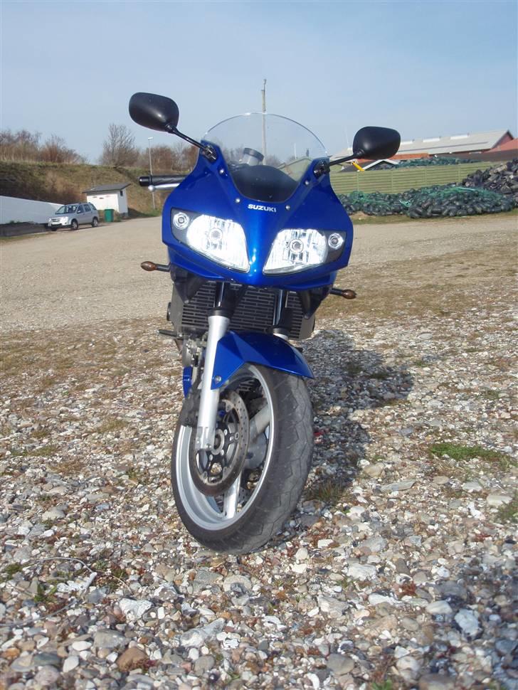 Suzuki SV 650 S billede 4